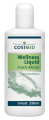 Wellness Liquid Fresh-Minze 70 Vol. % Ethanol 250 ml 3 Stück pro VE