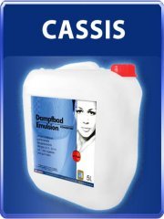 Euroseptica Dampfbad Emulsion (5L): DUFT: Cassis